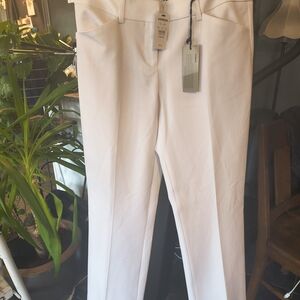 White Express Dress Pants